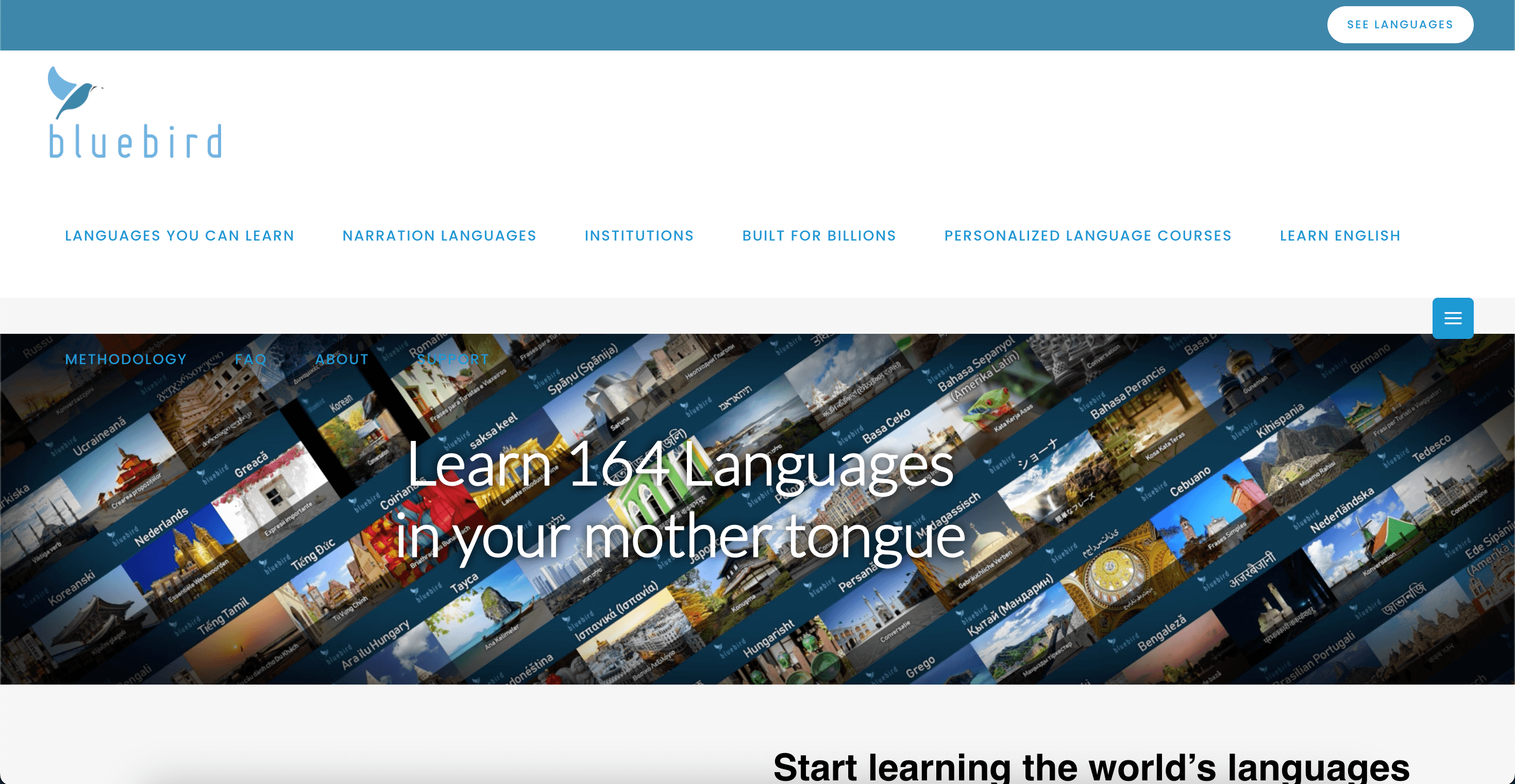 image of Bluebird - Language Learning App